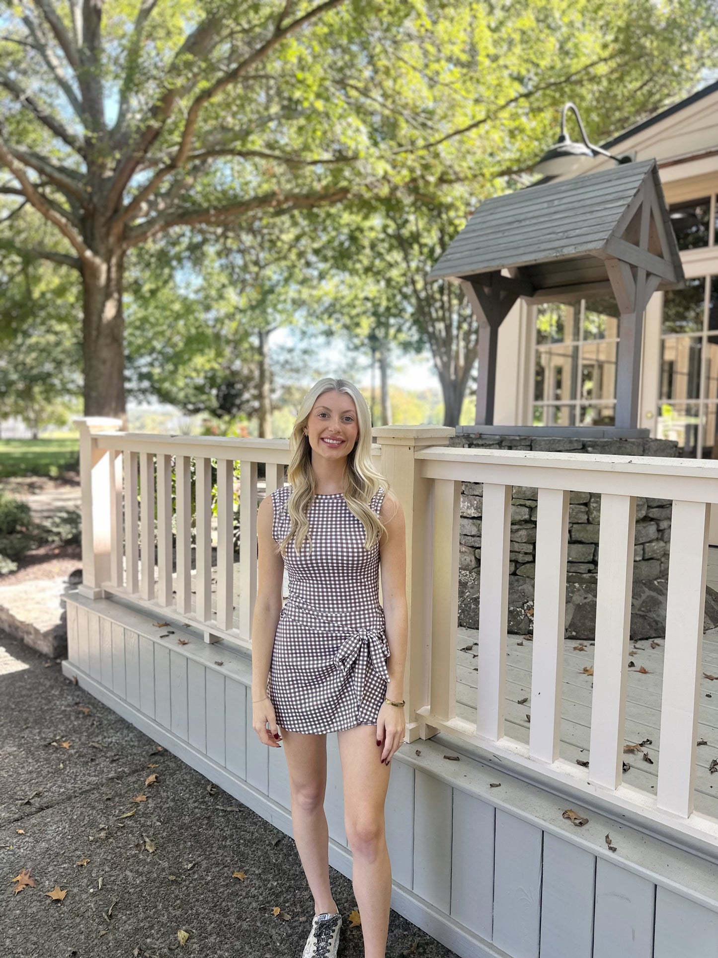 Brown Gingham Wrap Tie Dress